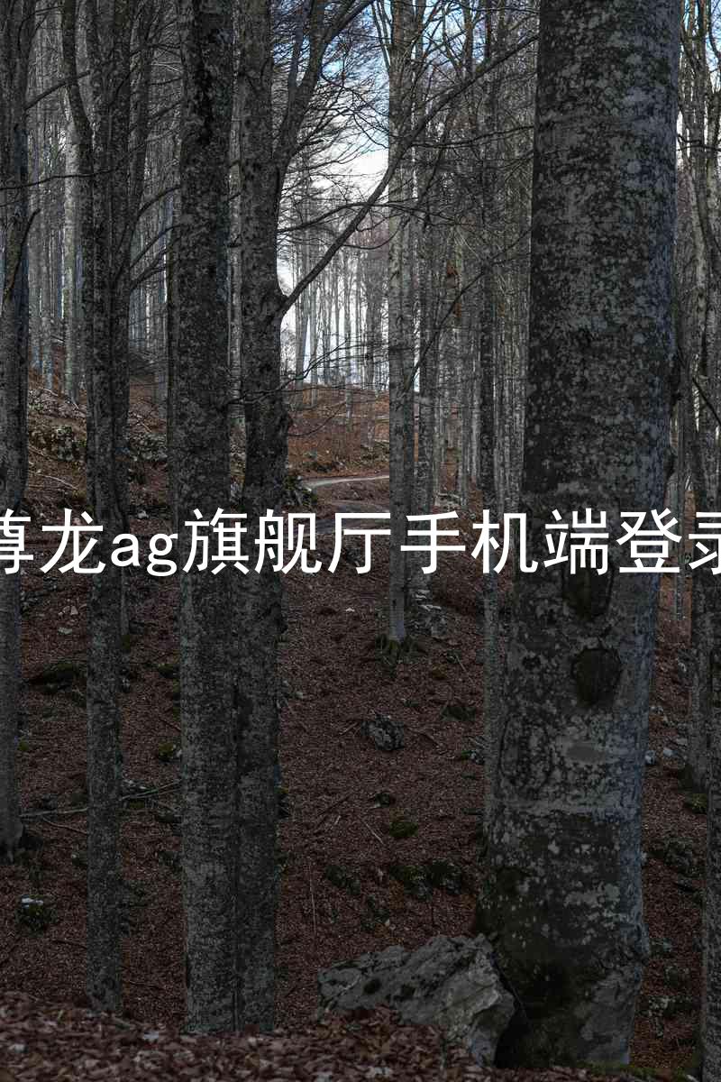 尊龙ag旗舰厅手机端登录